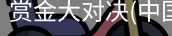赏金大对决